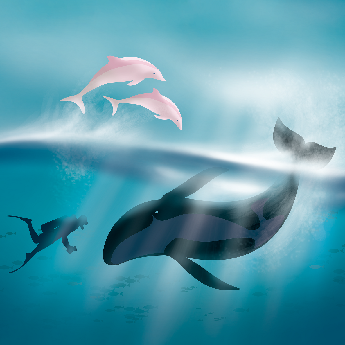 Dolphin90x55 方