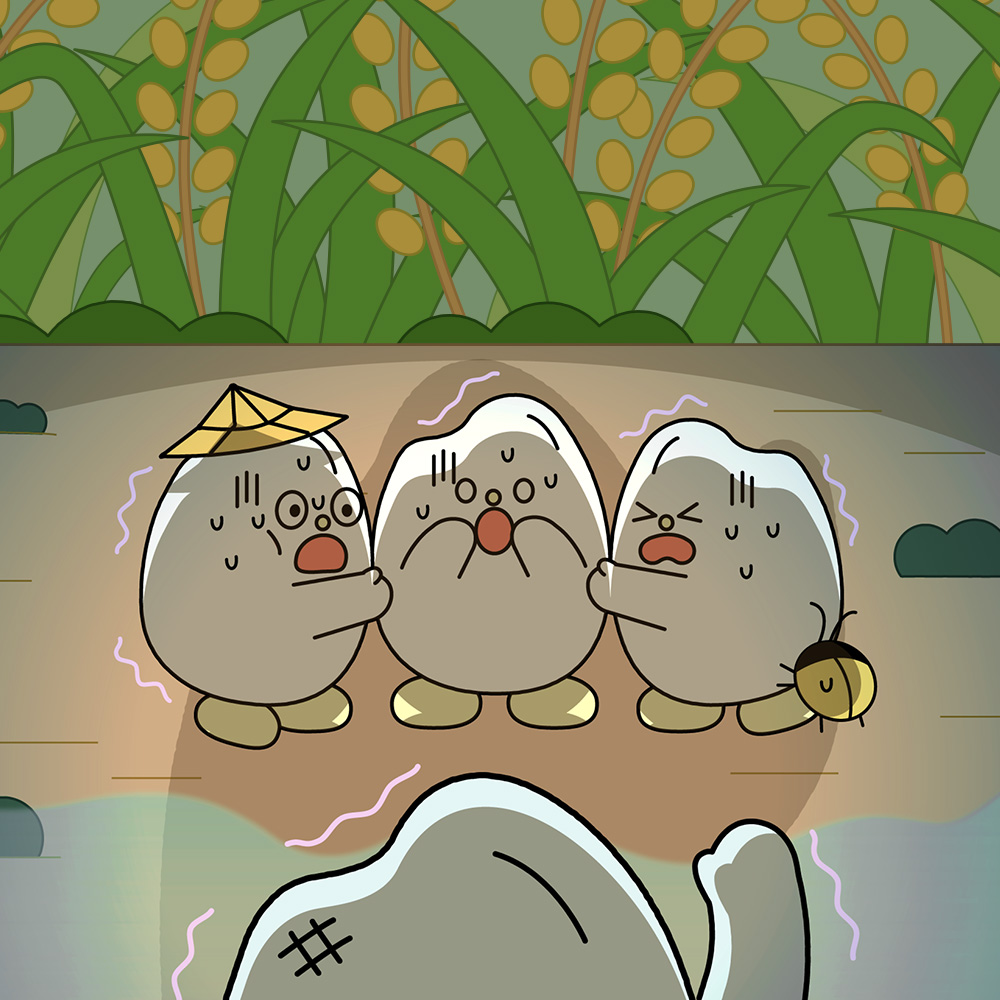 豐泰cover